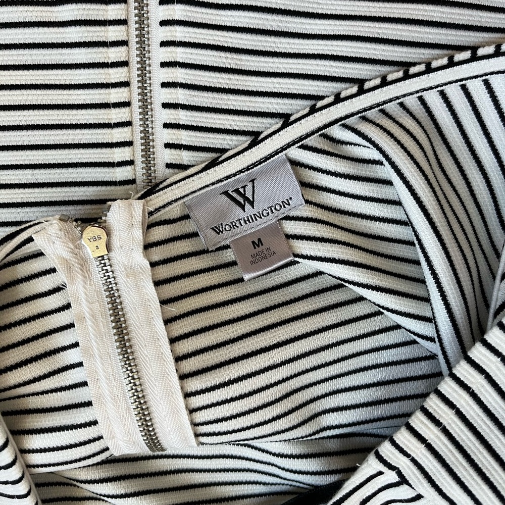 NWT Striped Bodycon Contoured Zip Back Dress - Picture 5 of 9